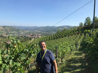 Asti - Vendemmia 2025: buone premesse per qualità e produzione, ma serve attenzione