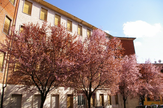 Asti - Scuola e legalità: accordo tra l’Istituto Castigliano e l’Ispettorato del Lavoro