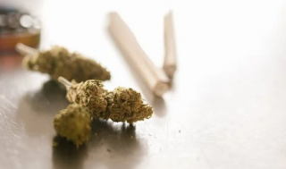 Asti - Motociclista positivo alla cannabis fa ricorso contro il nuovo decreto sicurezza: il Giudice di Pace gli restituisce la patente